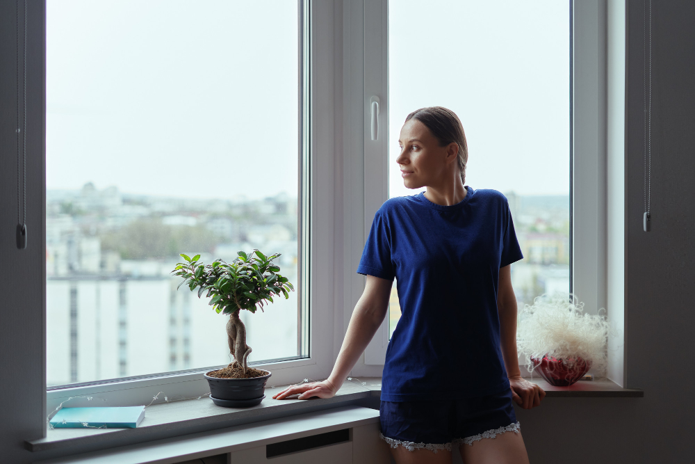 Springfield Window Styles